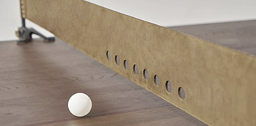 Ping Pong Table