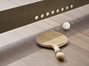 Ping Pong Table